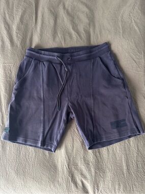 Alphalete Men's Purple Drawstring Shorts